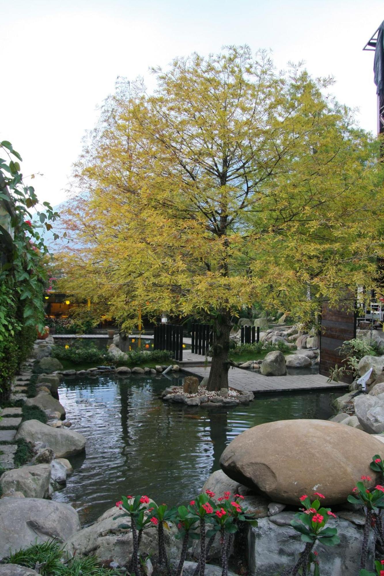 Tai-Yi Red Maple Resort Puli Bagian luar foto